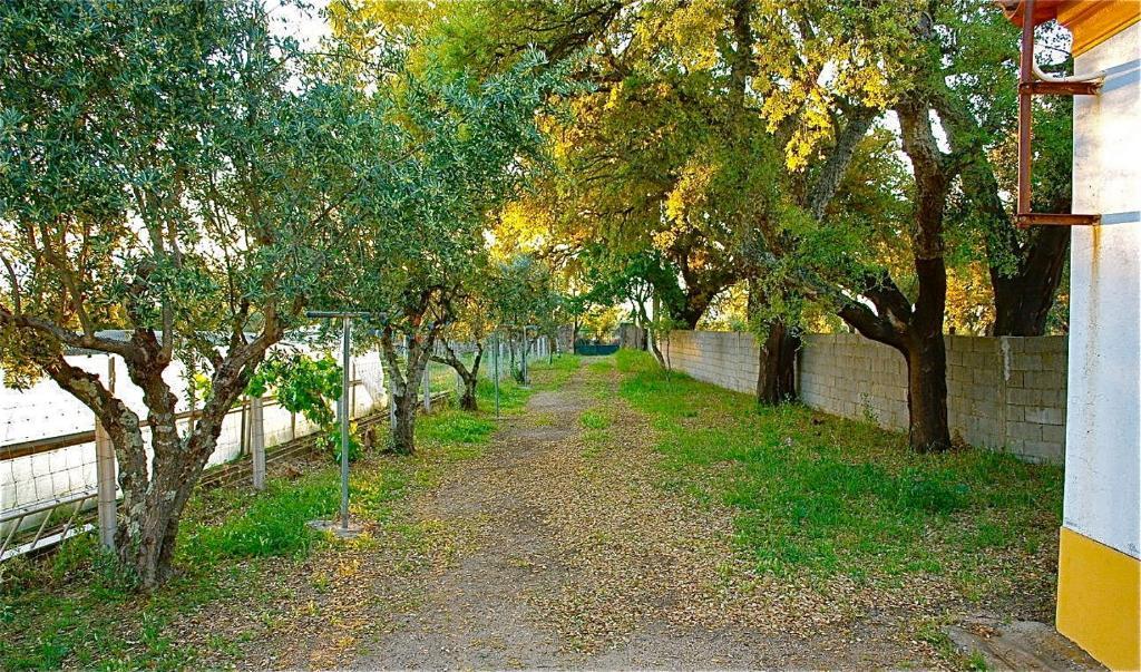 Ferienwohnung Quinta Da Bela Vista Póvoa e Meadas Zimmer foto